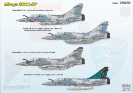 Scale model  Mirage 2000 5F