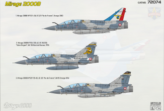 Scale model  Mirage 2000B operational trainer