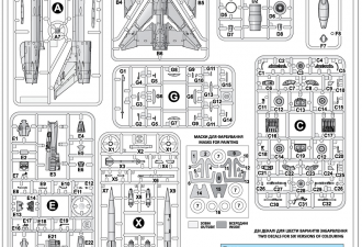 Scale model  MiG-21 F-13 "007"