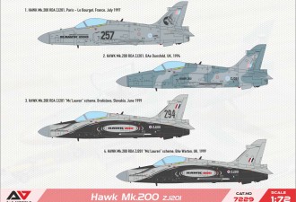 Scale model  Hawk 200 light multirole fighter (reg No: ZJ201)