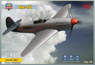 Scale model  Yak-1B Soviet fighter