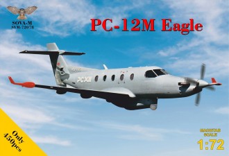 Scale model  PC-12M "Eagle" utility turboprop aircraft