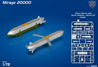 Scale model  Mirage 2000D with SCALP EG missile