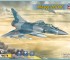 Scale model Mirage 2000C multirole jet fighter 