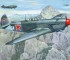 Scale model Yak-9DD Long range WWII fighter
